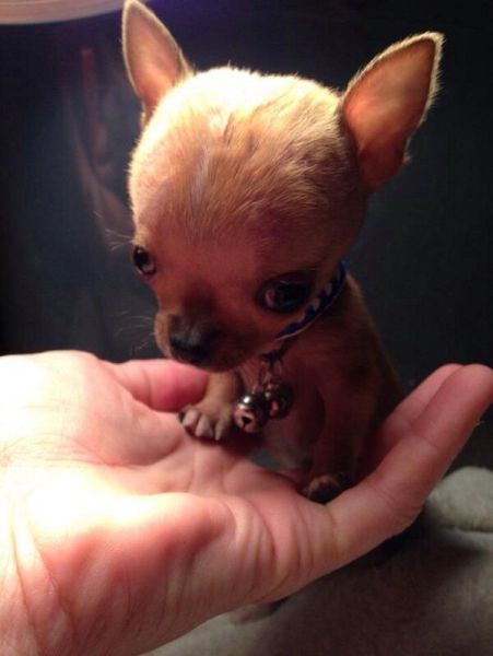 morning picdump 51 pics 12.html - 51 HD Photos | Premium Gallery 2014