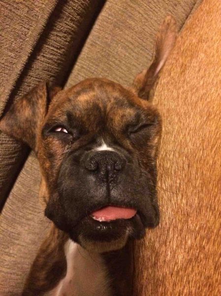 morning picdump 51 pics 12.html - 51 HD Photos | Premium Gallery 2014