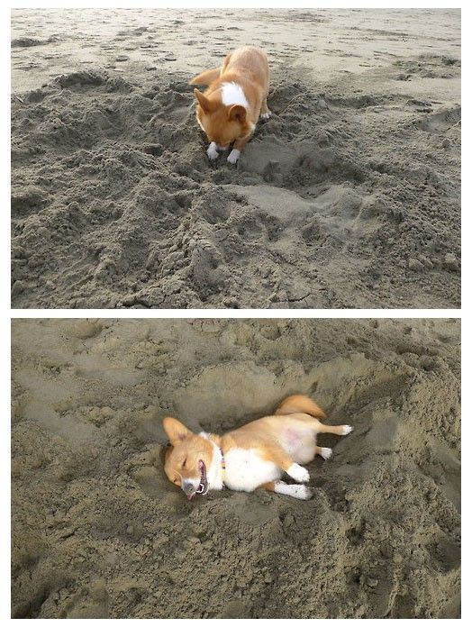 morning picdump 51 pics 12.html - 51 HD Photos | Premium Gallery 2014