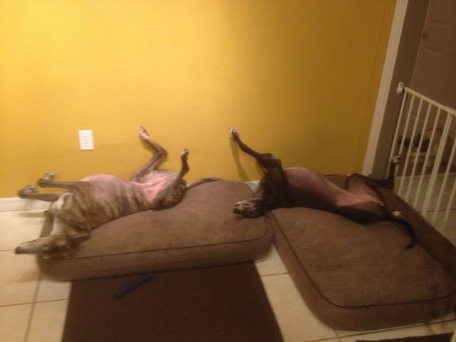 morning picdump 51 pics 12.html - 51 HD Photos | Premium Gallery 2014