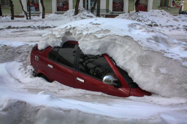 Morning Picdump