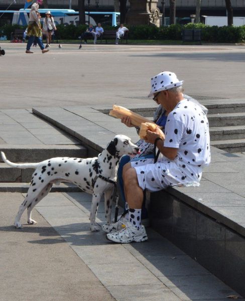 Morning Picdump
