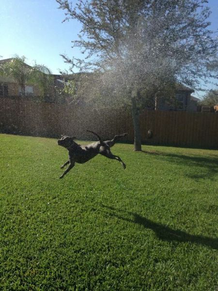 morning picdump 56 pics 16.html - 56 HD Photos | Premium Gallery 2014