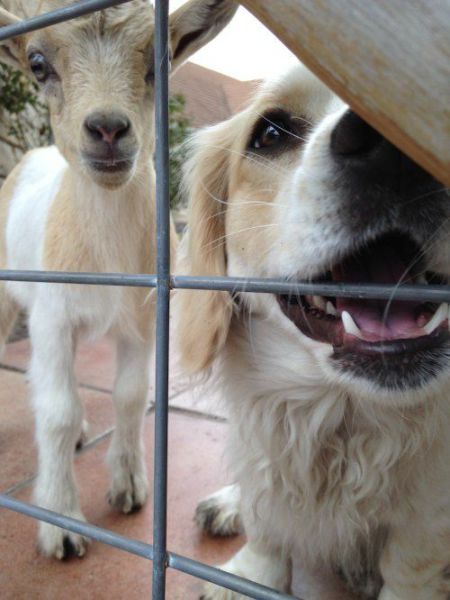 morning picdump 56 pics 16.html - 56 HD Photos | Premium Gallery 2014