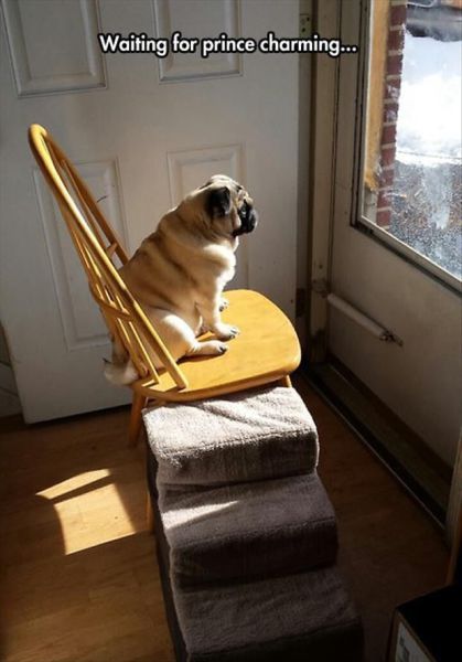 morning picdump 56 pics 16.html - 56 HD Photos | Premium Gallery 2014