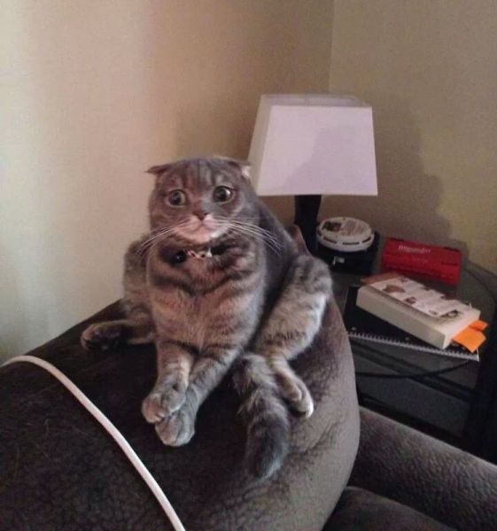 morning picdump 56 pics 3.html - 56 HD Photos | Premium Gallery 2014