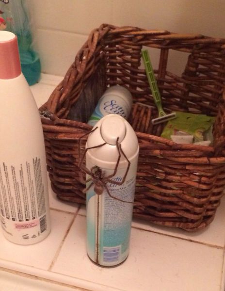 morning picdump 56 pics 3.html - 56 HD Photos | Premium Gallery 2014