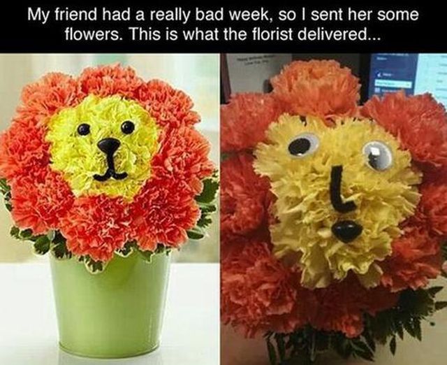 morning picdump 56 pics 3.html - 56 HD Photos | Premium Gallery 2014