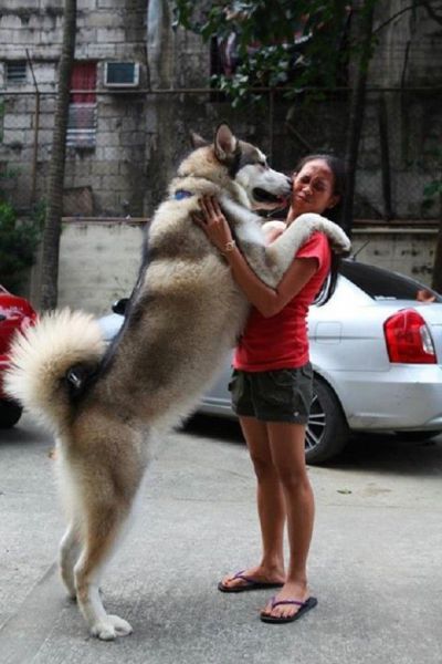 Morning Picdump