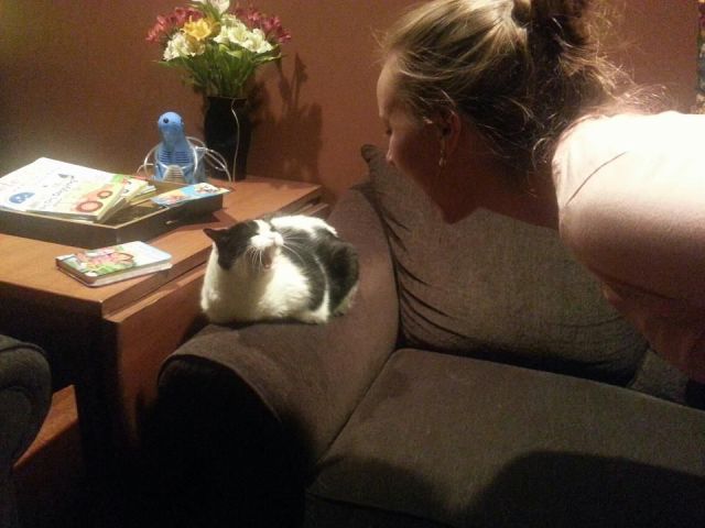 Morning Picdump