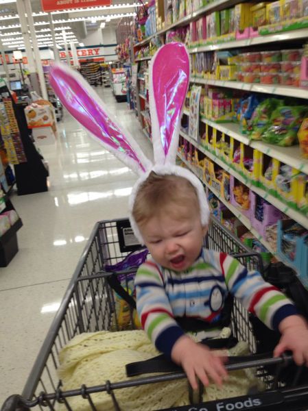 Morning Picdump