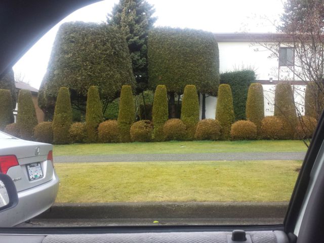 Morning Picdump