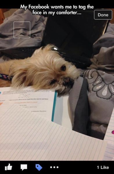 morning picdump 54 pics 21.html - 54 HD Photos | Premium Gallery 2014