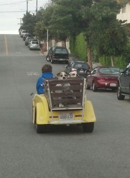 morning picdump 54 pics 21.html - 54 HD Photos | Premium Gallery 2014