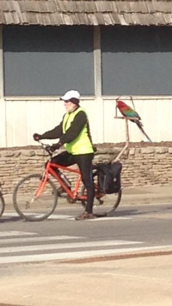 morning picdump 54 pics 21.html - 54 HD Photos | Premium Gallery 2014