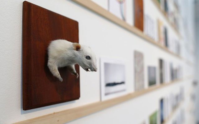 daily picdump 92 pics 9.html - 92 HD Photos | Premium Gallery 2014