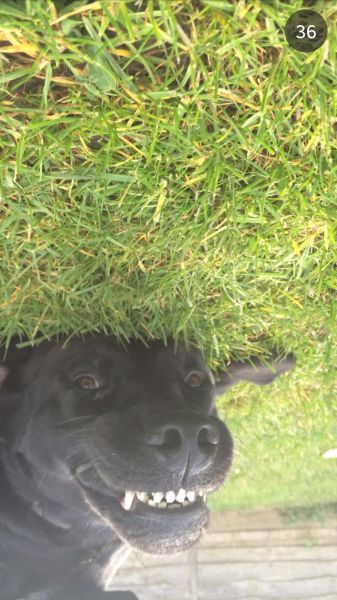 daily picdump 92 pics 9.html - 92 HD Photos | Premium Gallery 2014