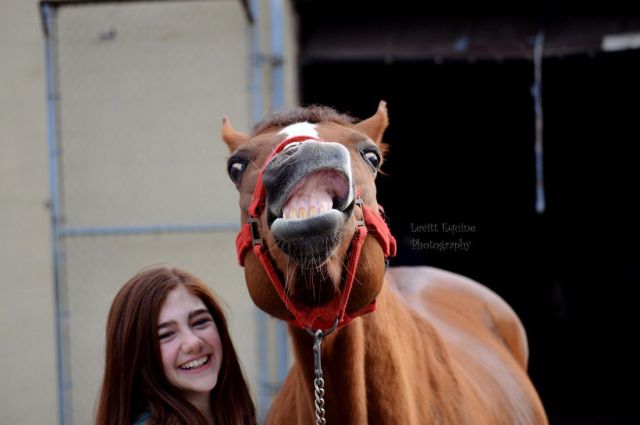 morning picdump 51 pics 18.html - 51 HD Photos | Premium Gallery 2014