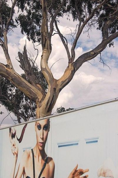 morning picdump 51 pics 18.html - 51 HD Photos | Premium Gallery 2014