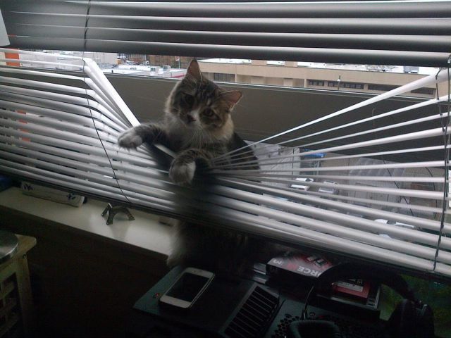 morning picdump 51 pics 18.html - 51 HD Photos | Premium Gallery 2014