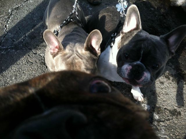 morning picdump 51 pics 18.html - 51 HD Photos | Premium Gallery 2014