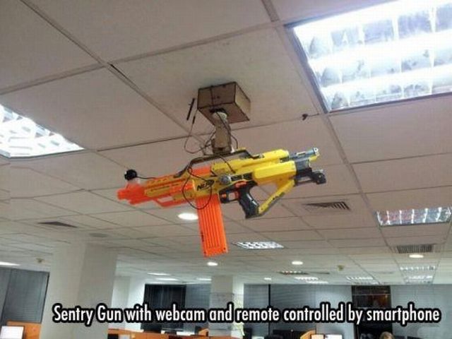 Morning Picdump