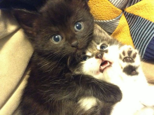 Morning Picdump