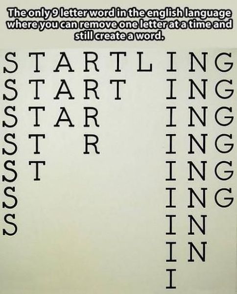 Morning Picdump