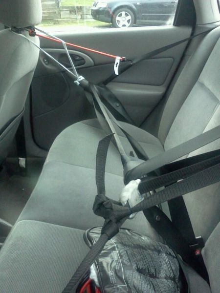 Morning Picdump