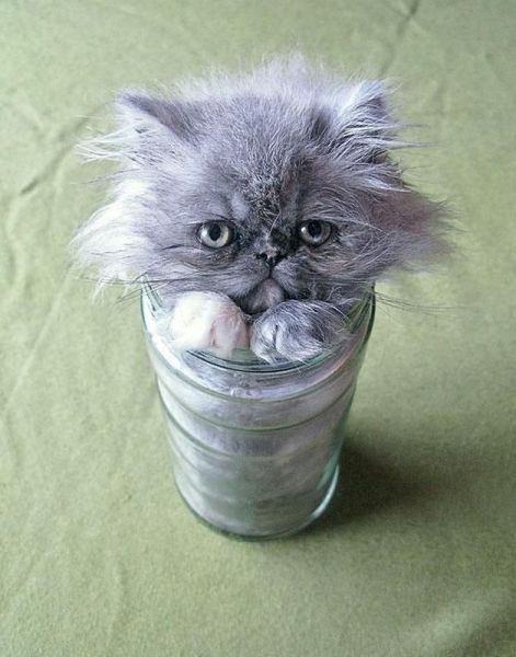 morning picdump 52 pics 2.html - 52 HD Photos | Premium Gallery 2014