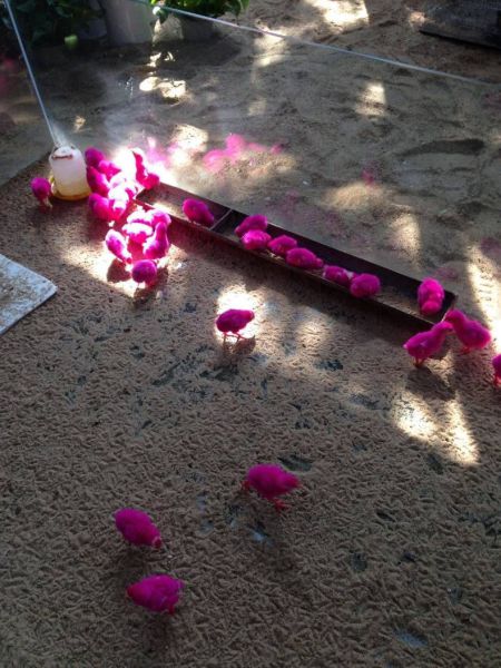 morning picdump 52 pics 2.html - 52 HD Photos | Premium Gallery 2014