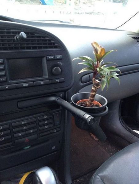 morning picdump 52 pics 2.html - 52 HD Photos | Premium Gallery 2014