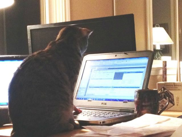 morning picdump 52 pics 2.html - 52 HD Photos | Premium Gallery 2014