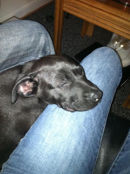 morning picdump 54 pics 21.html - 54 HD Photos | Premium Gallery 2014