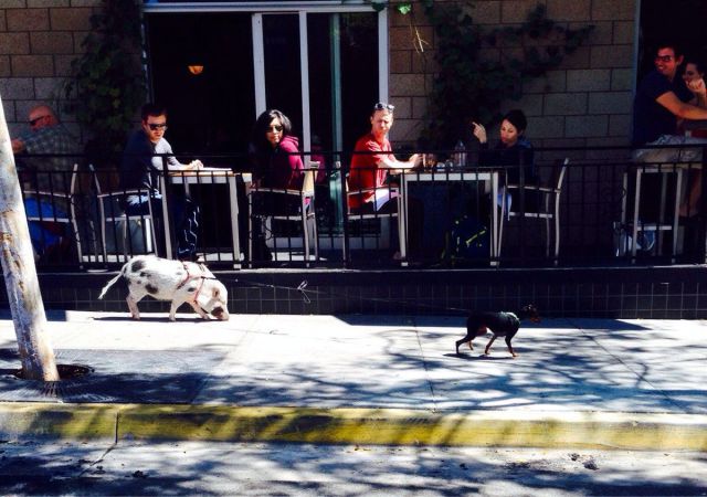 morning picdump 54 pics 21.html - 54 HD Photos | Premium Gallery 2014