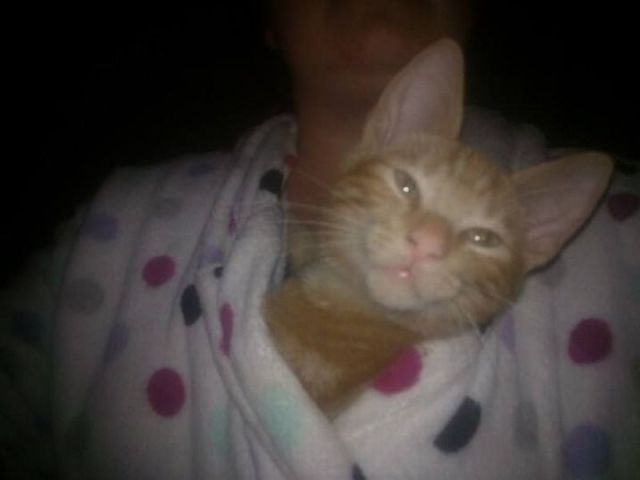 morning picdump 54 pics 21.html - 54 HD Photos | Premium Gallery 2014