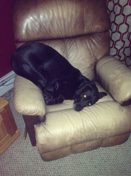 morning picdump 54 pics 21.html - 54 HD Photos | Premium Gallery 2014