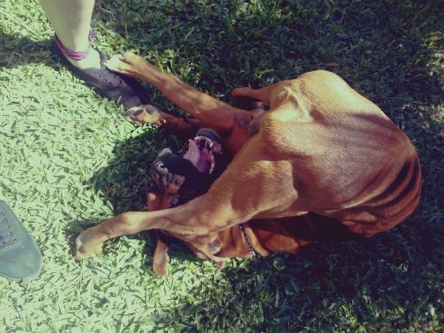 morning picdump 54 pics 21.html - 54 HD Photos | Premium Gallery 2014