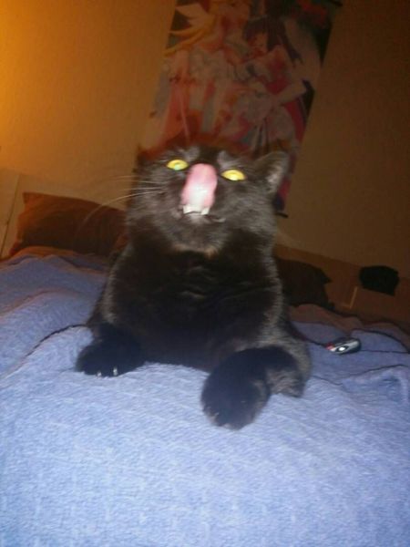 morning picdump 54 pics 21.html - 54 HD Photos | Premium Gallery 2014