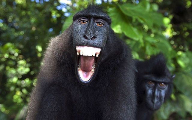 morning picdump 56 pics 8.html - 56 HD Photos | Premium Gallery 2014