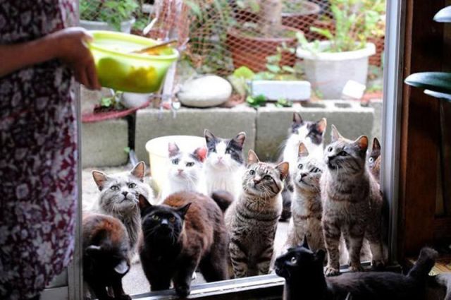 morning picdump 56 pics 8.html - 56 HD Photos | Premium Gallery 2014