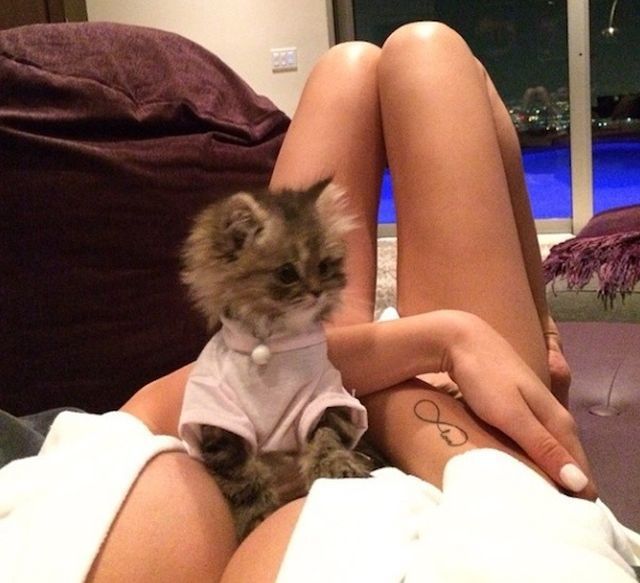 grownup corner 39 pics 17 gifs 5.html - 39 HD GIF | Premium Gallery 2014