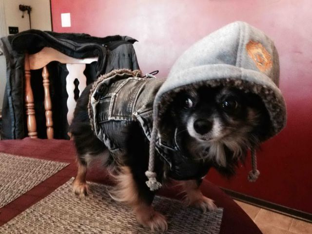 Morning Picdump