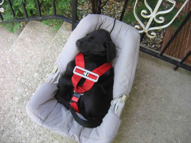 Morning Picdump