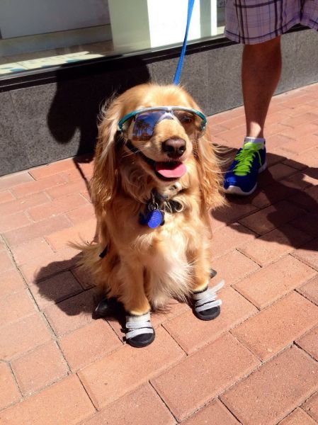 Morning Picdump