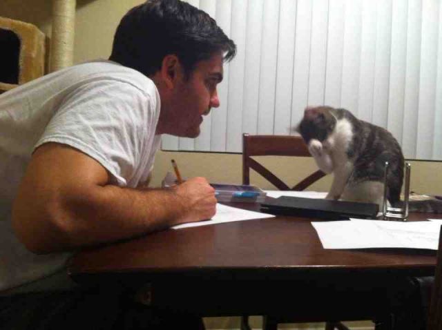 Daily Picdump [WEEKEND EDITION]