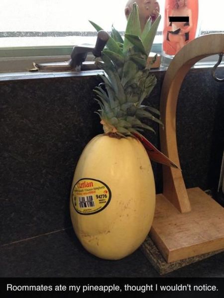 Daily Picdump [WEEKEND EDITION]