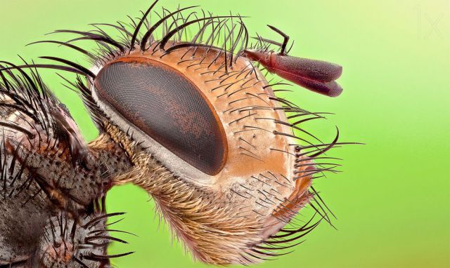 daily picdump weekend edition 101 pics 39.html - 101 HD Photos | Premium Gallery 2014