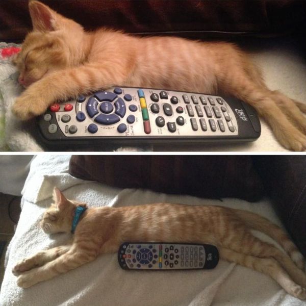 daily picdump weekend edition 101 pics 39.html - 101 HD Photos | Premium Gallery 2014