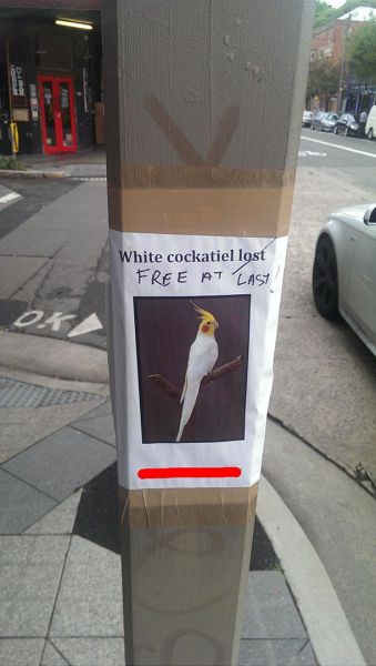 daily picdump weekend edition 101 pics 39.html - 101 HD Photos | Premium Gallery 2014